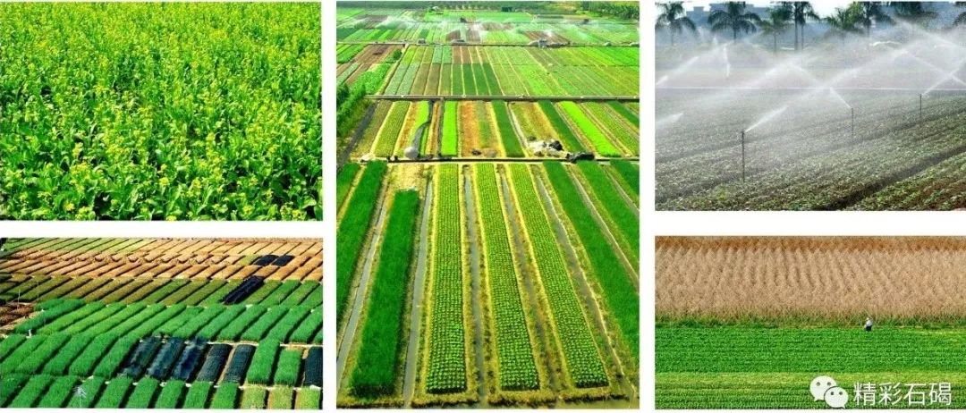 2018年度全国百强镇出炉！石碣榜上有名！