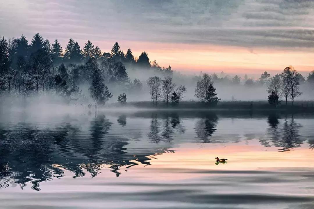 汉字究竟有多么伟大读完醍醐灌顶,文字原来可以这么扎心