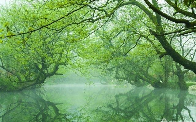 这里有十里亲水画廊,在海拔1400米的地方看世界杯,赏流泉飞瀑