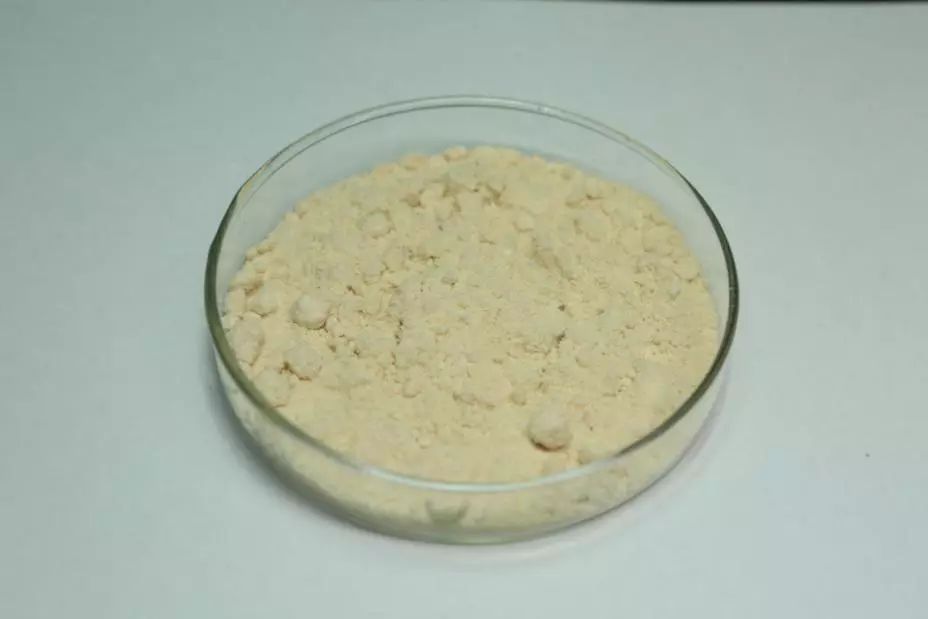 禁毒基础知识文件,国家相关禁毒的法律法规20字