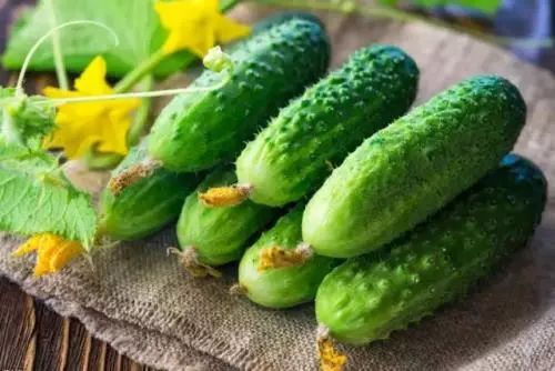 “义”正听｜黄瓜中有杀不死的寄生虫？真相是……