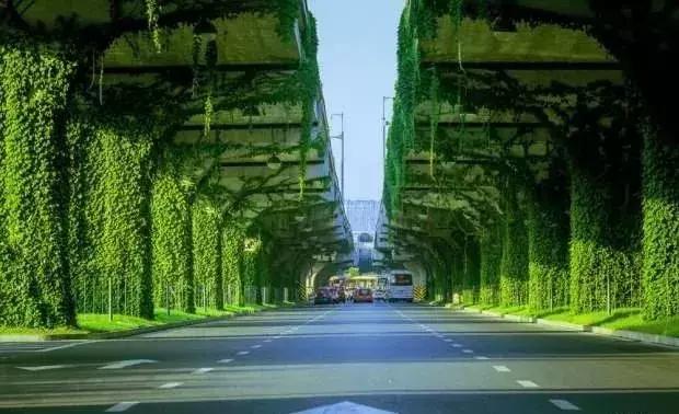 天府本色｜连雨不知春去，一晴方觉夏深
