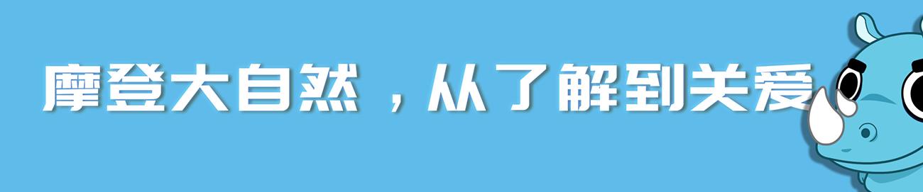 为何阿根廷称为潘帕斯雄鹰,阿根廷为啥叫潘帕斯