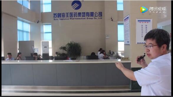 海王集团2020年大型项目,海王集团深度分析