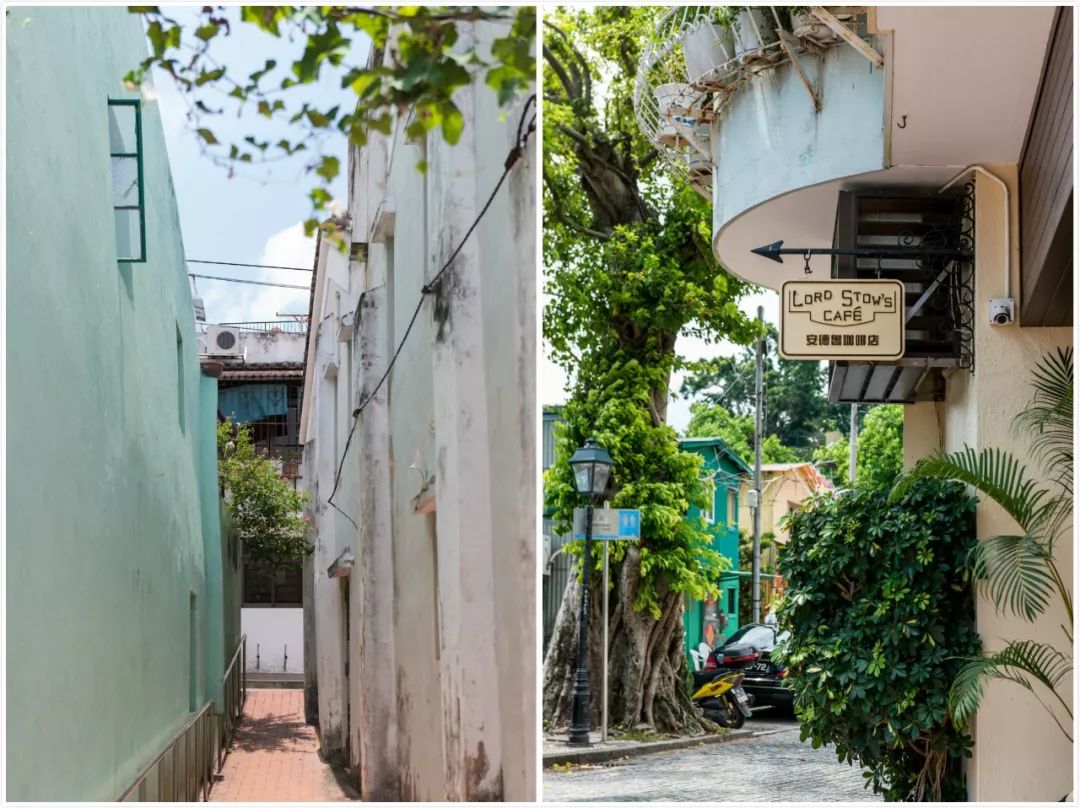 纸醉金迷外国版,总要来一趟澳门感受下纸醉金迷