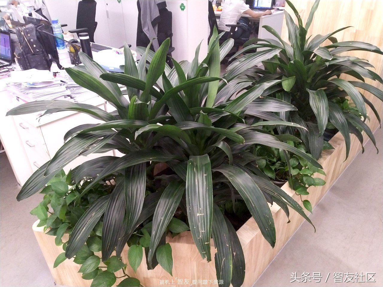 小米平板4性能测评,小米平板4屏幕素质测评