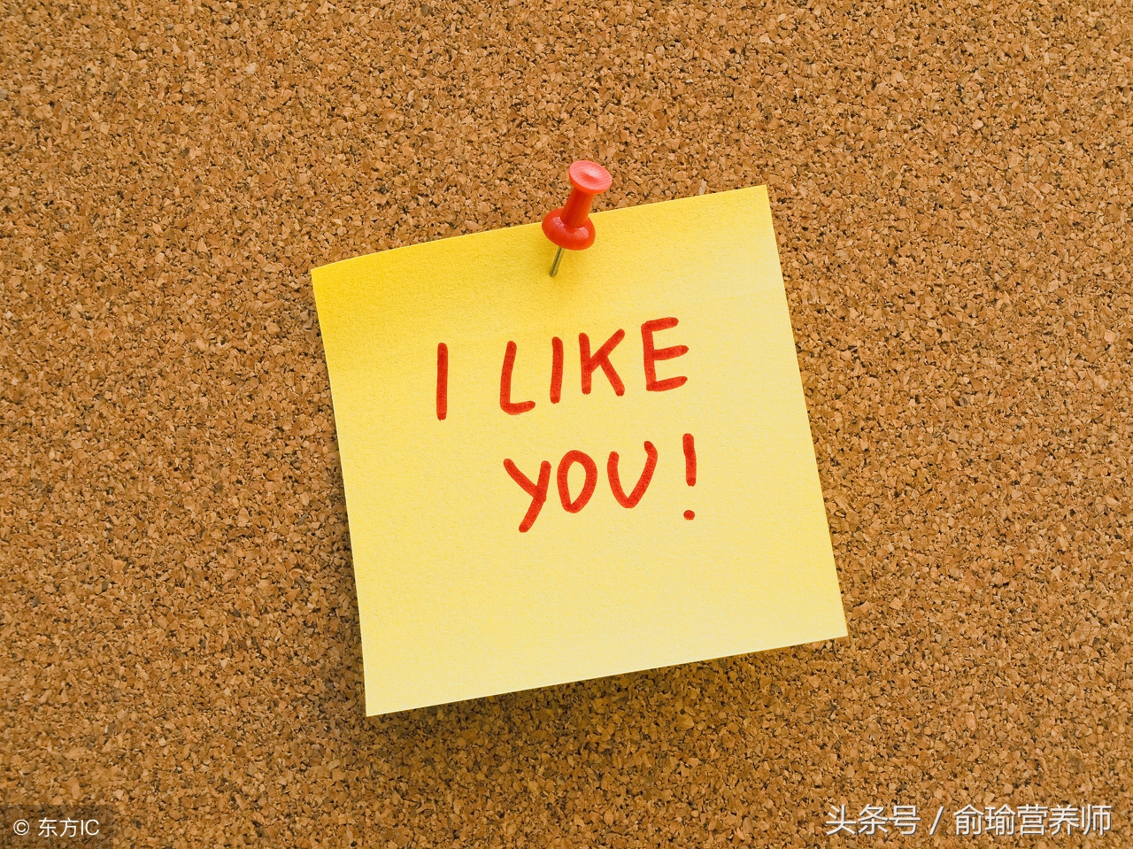 公认最快21天减肥食谱,正宗减肥食谱大全