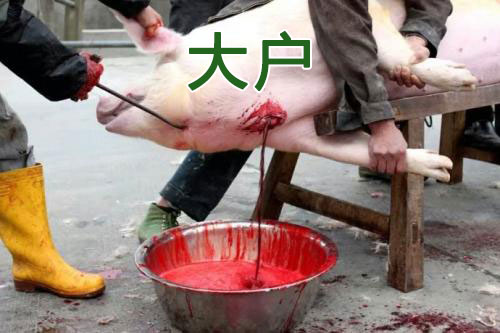 韭菜不够，大户来凑？—满币网事件始末