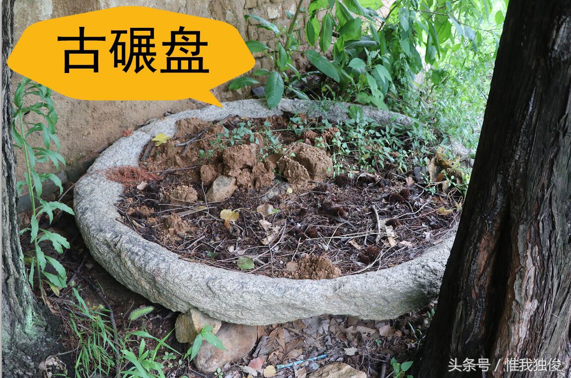 随州太白顶风景区简介视频,发现之旅神农架野人之谜