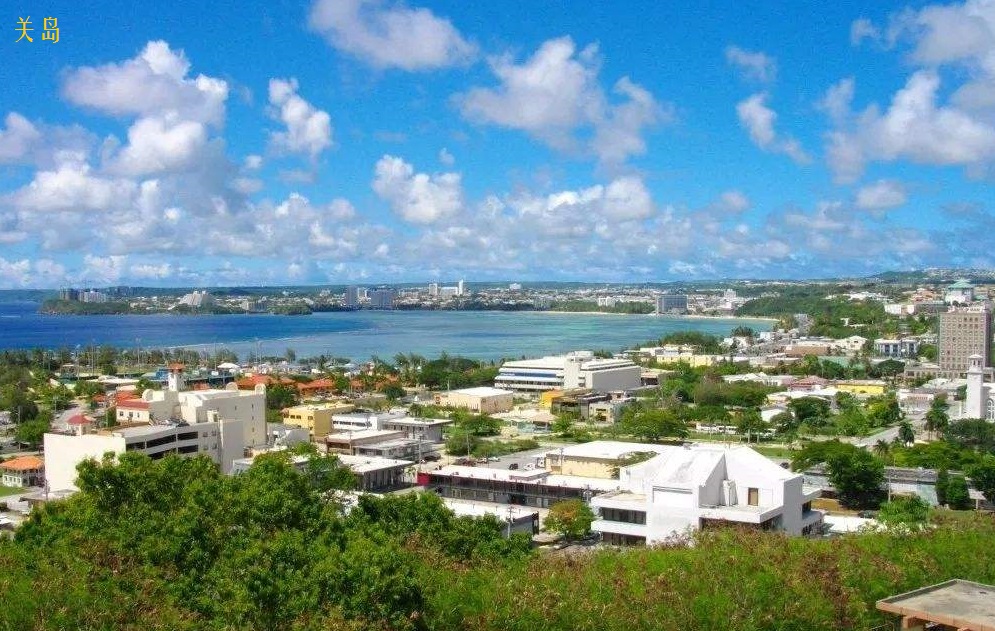 世界杯有多少个国家队参加,世界杯参加国家有哪些