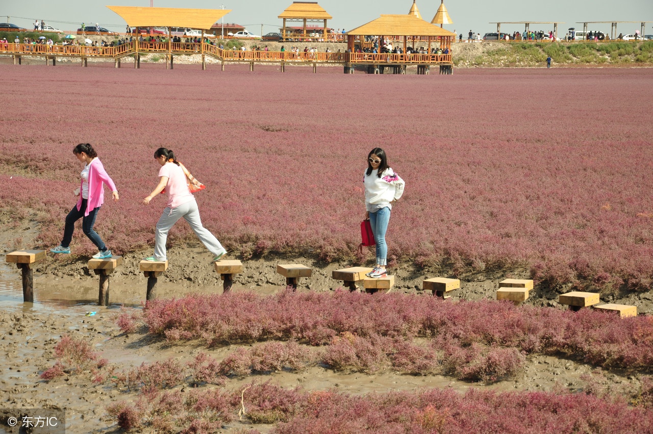 盘锦鼎翔旅游景区,辽宁盘锦旅游景区集锦