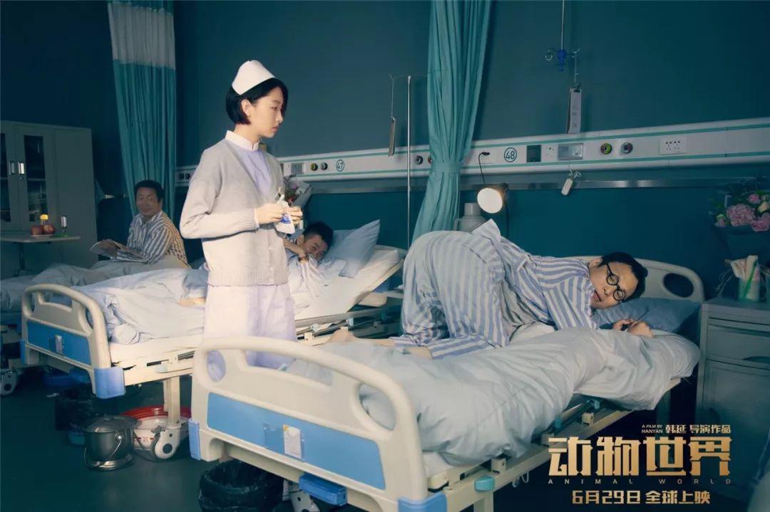 动物世界冷知识,动物世界细节解析