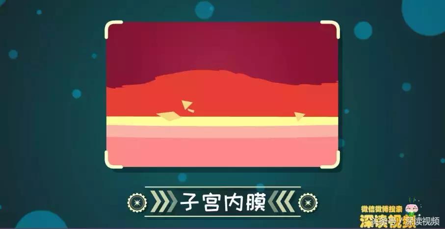 子宫肌瘤在哪个地方影响怀孕,子宫肌瘤剔除怎么还有东西流出来