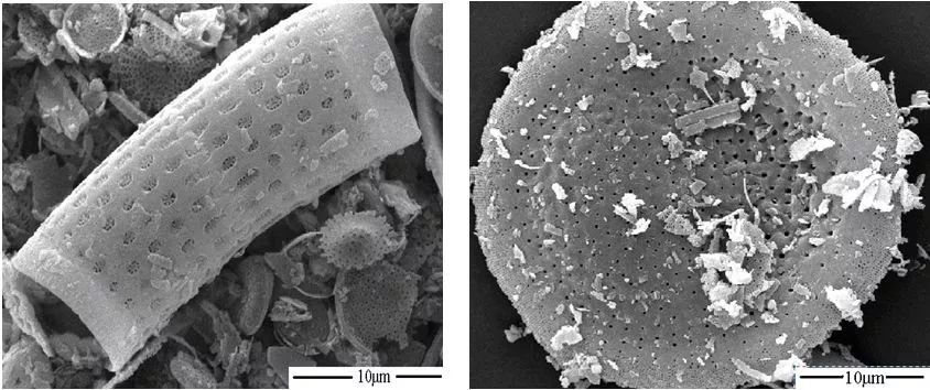 造纸都用什么化工材料,造纸上用的高分子材料有哪些