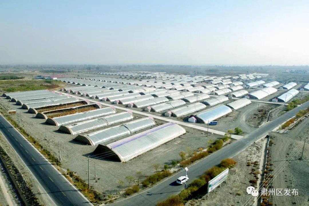 荒滩变成花海乡村富了百姓笑了,荒滩变成基本农田