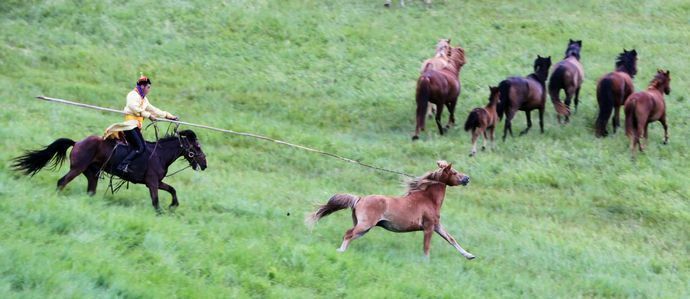 怎么拍摄快速运动物体,运动物体怎么拍摄视频