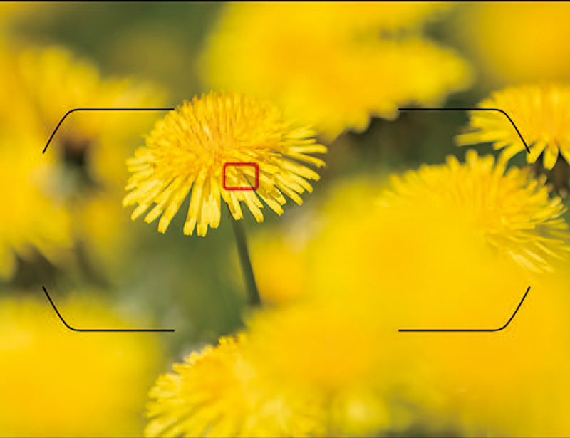 什么是自动调焦模式,什么是自动对焦和手动对焦