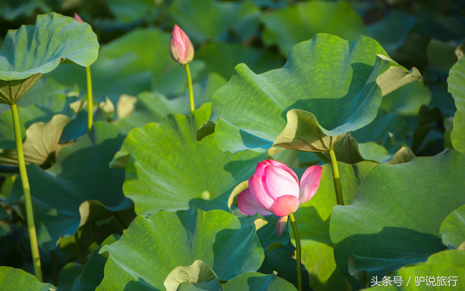 上海周边悬崖峭壁上的野奢酒店,上海后花园休闲度假