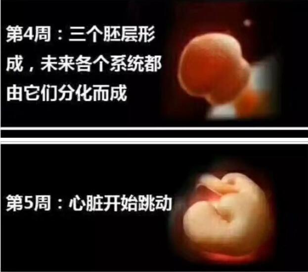 养出漂亮宝宝,养出聪明娃的技巧