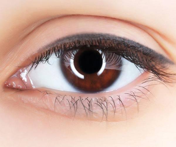 心理测试最喜欢的人,心理测试你第一眼喜欢哪个花