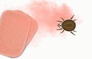 螨虫走开！中疾控检测100%有效，家有小宝、消除过敏源必备