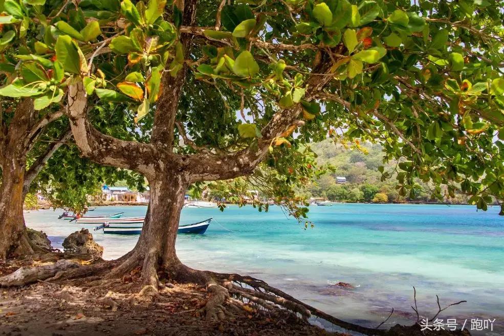 单次世界杯进球最多的国家,世界杯单场进球最多的国家