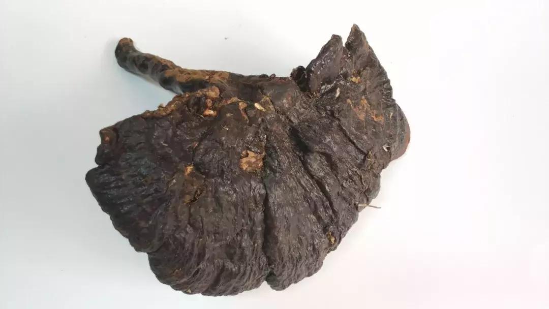 灵芝药品和灵芝保健品有什么区别,灵芝和灵芝孢子粉是一种保健品吗