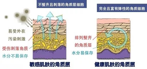 温和敏感肌肤去角质脸部,敏感肌肤温和去角质啫喱