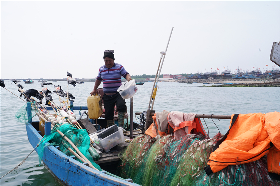 渤海可以游玩的小岛,龙口渤海上的岛