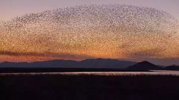 探索自然的纪录片推荐,七部神级自然纪录片你看过几部
