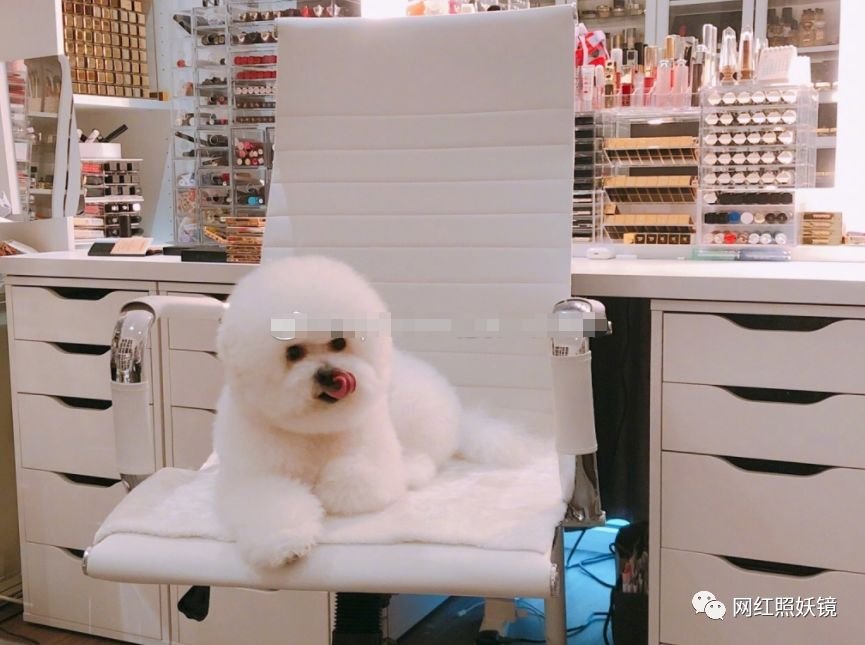 张辛苑化妆台图片,张辛苑美妆