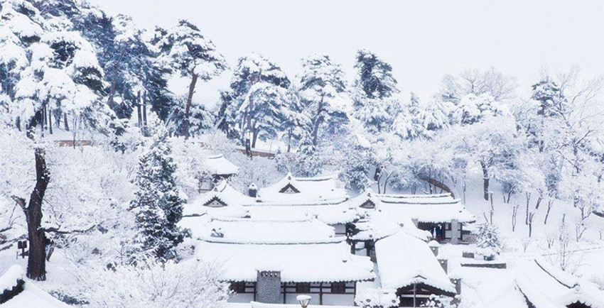 中国何时有棉花,北方没棉花之前用什么御寒