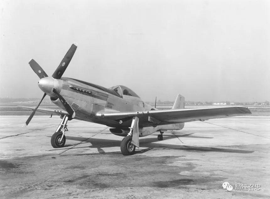 世界杯上发生的故事,世界杯真实趣事