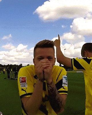 马尔科·罗伊斯｜多美丽，又遗憾的世界