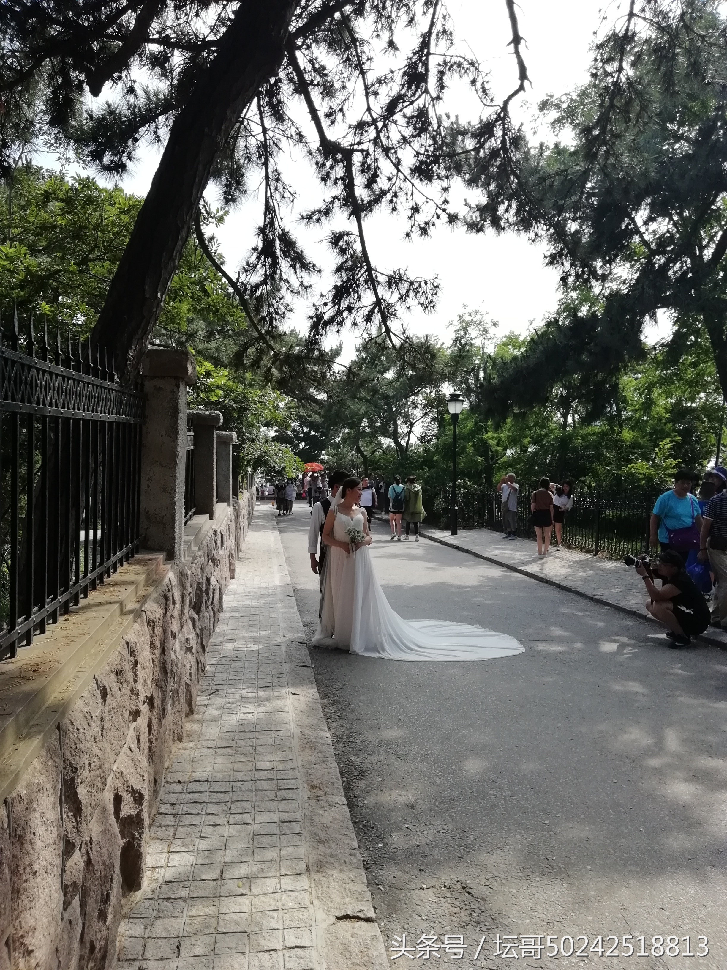 青岛八国联军建筑的风格,青岛最适合拍婚纱摄影的地方