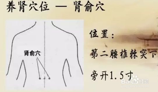男人养肾正确有效方法,男性养肾的10个技巧