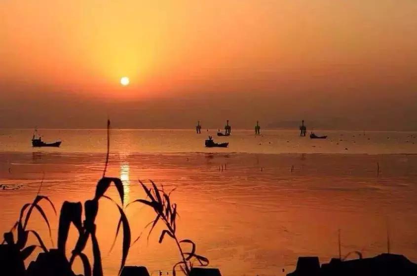 金山人的身价要暴涨！未来将要打造特色小镇，改善交通