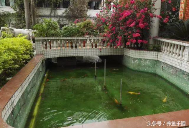 锦鲤池养鱼过滤系统,锦鲤池有了净化池还要增氧