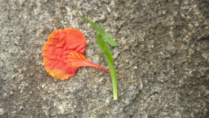 sanya天之涯，海之角我们来了