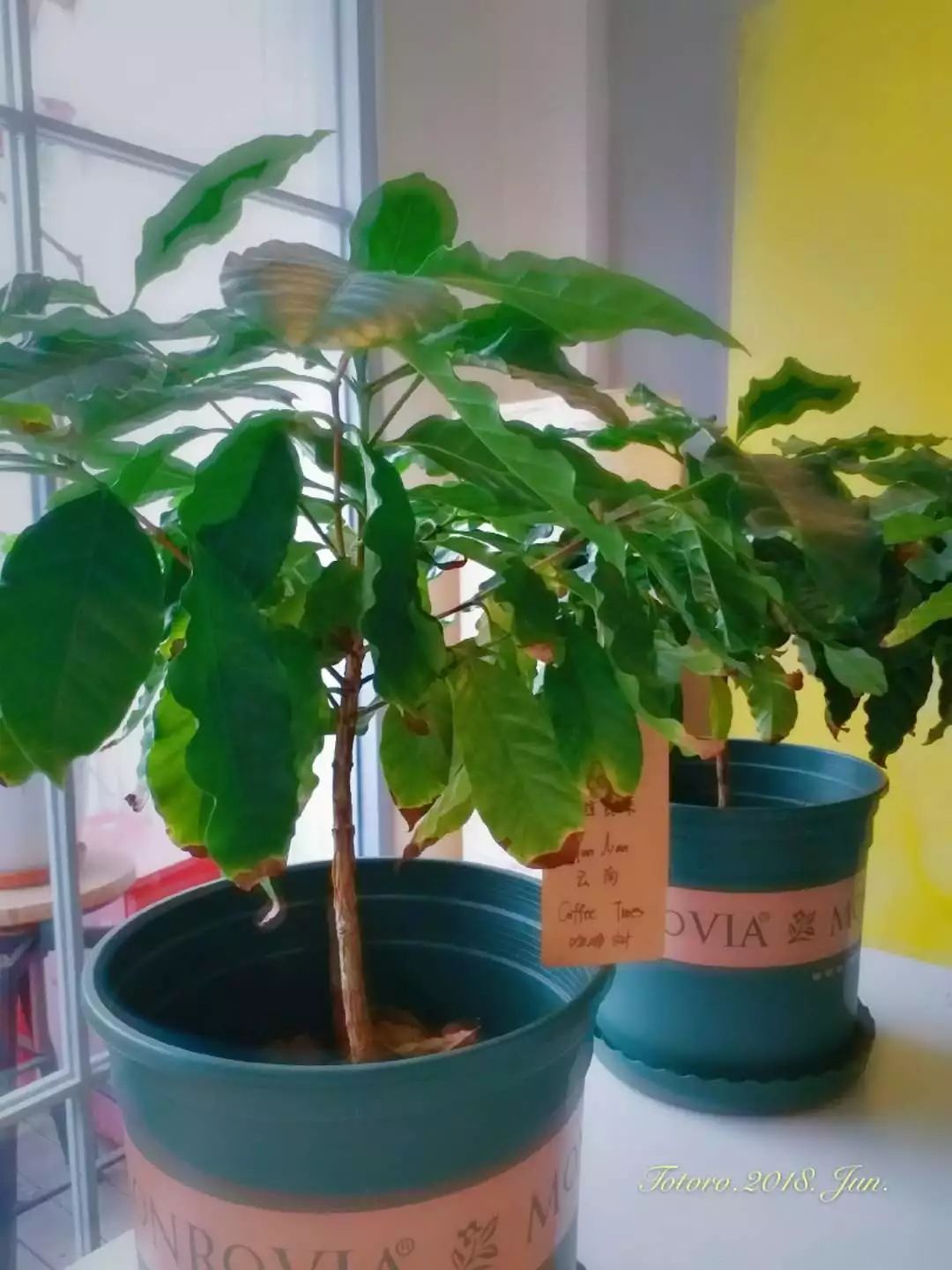 上海繁花｜晾在阳光中的球衣，就像那些遥远的暑假里，挂在阳光中的足球往事