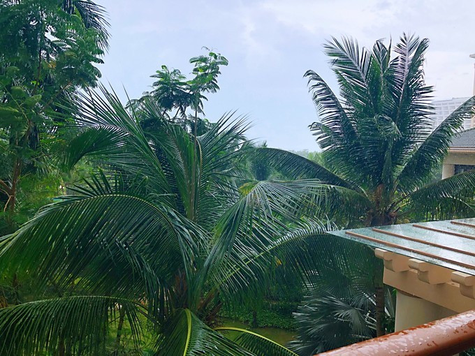 带你到三亚感受不一样的美食美景,三亚之行怎能错过这些美食和美景