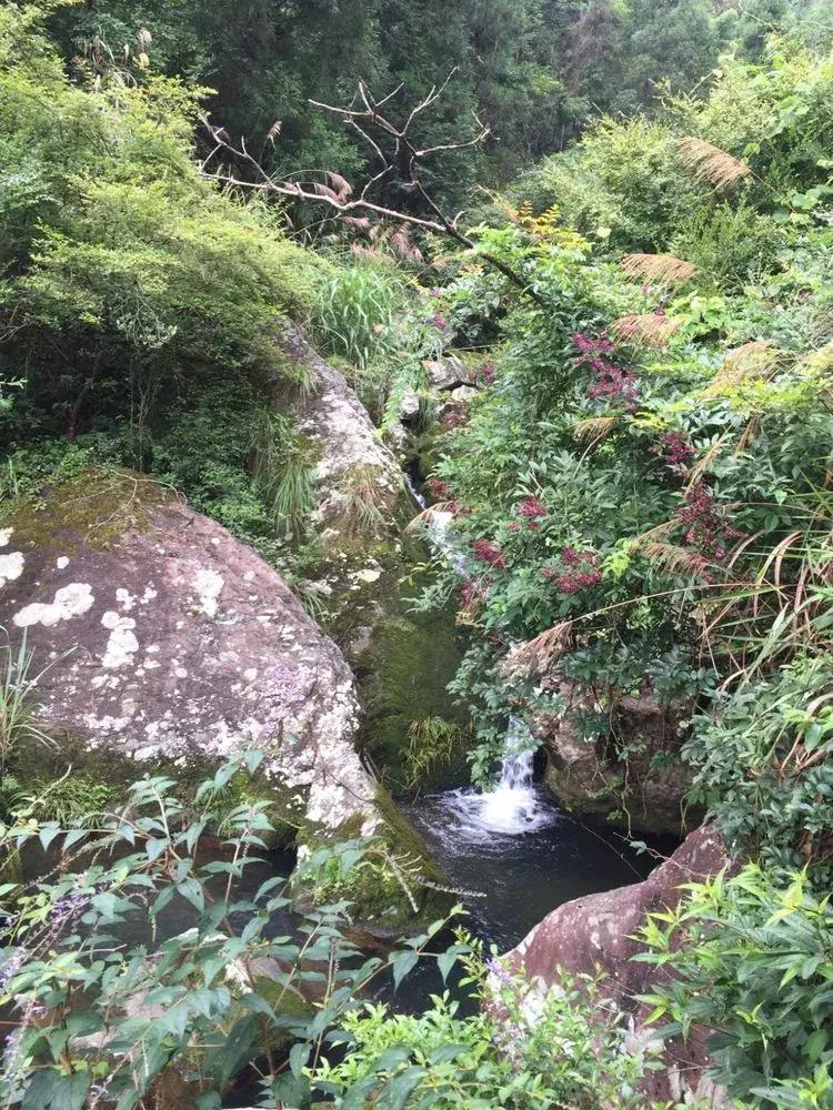 悠悠古道忆乡愁,悠悠古道