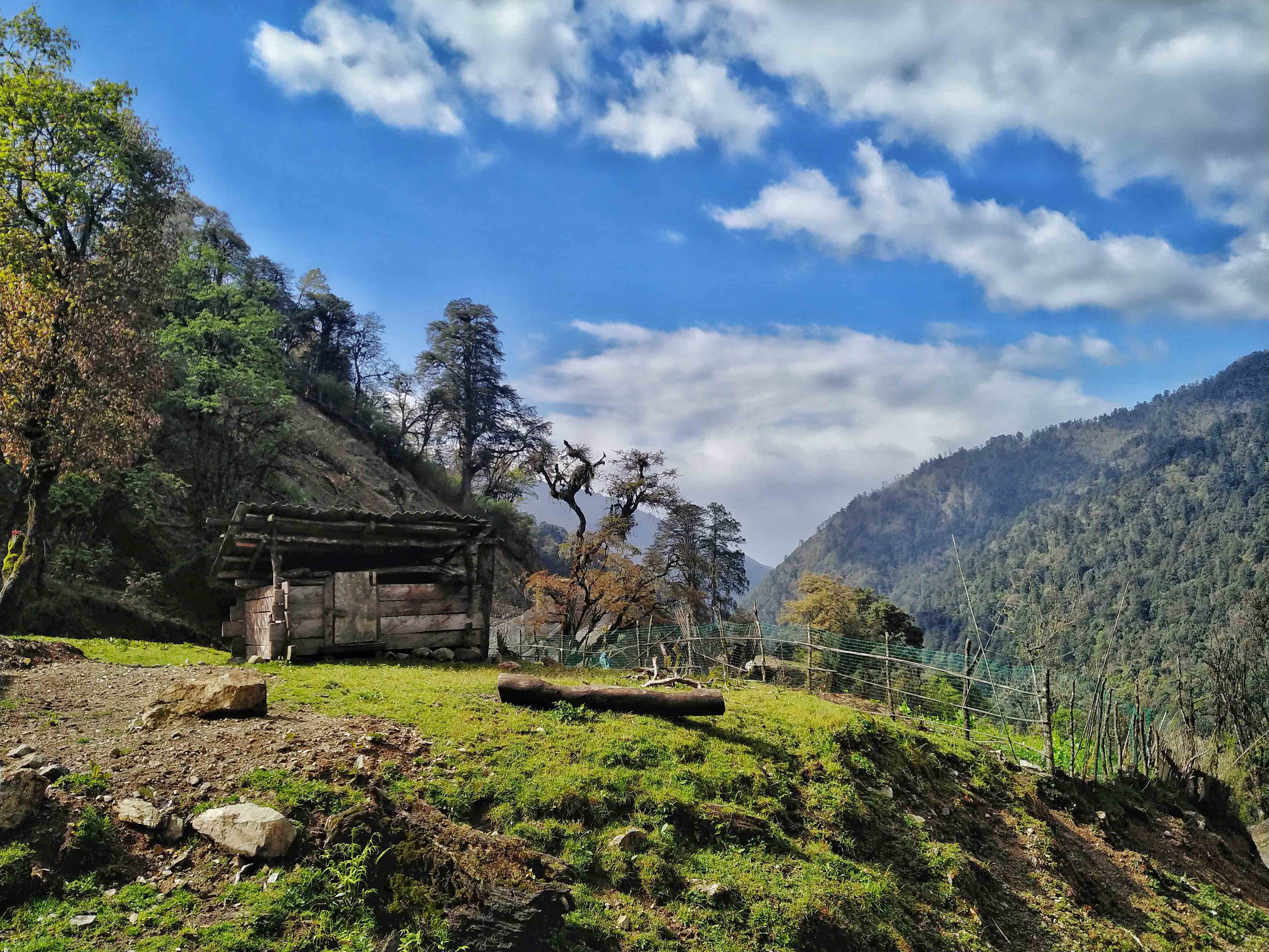强迫症患者要花多少钱,强迫症治疗大概需要多少钱