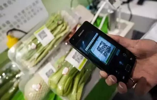 互联网农业种植有哪些步骤,互联网农业应用