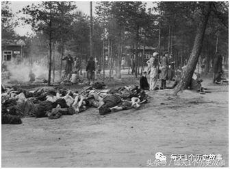 安妮日记的二战背景,二战中的安妮的纪实