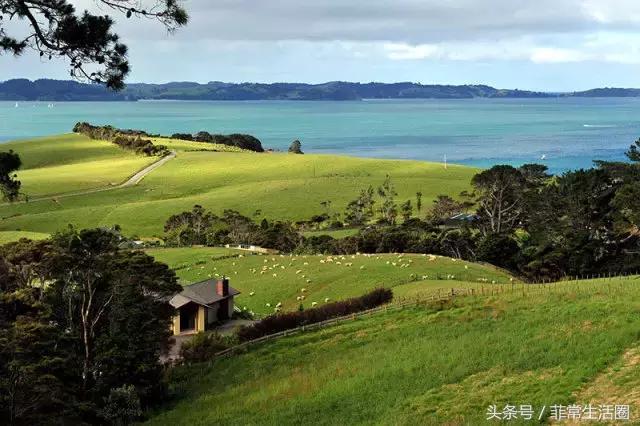 在菲律宾首都买一套房的钱，去别的国家可以买点啥……
