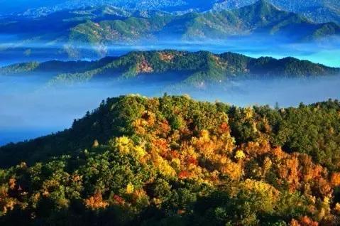 龙江盛夏避暑图片,黑龙江最美十大避暑胜地