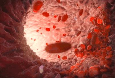 舒适又透气的隐形船袜来啦,舒适透气又凉快不掉跟的隐形袜