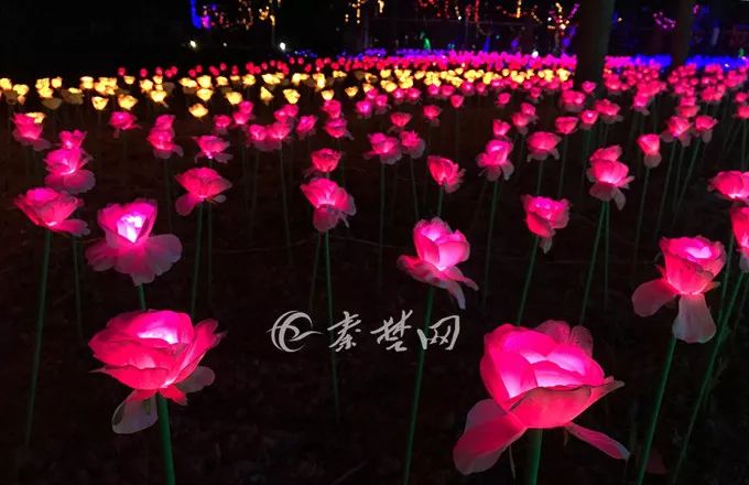 十堰好玩的地方暑假,十堰有没有好玩的室内活动