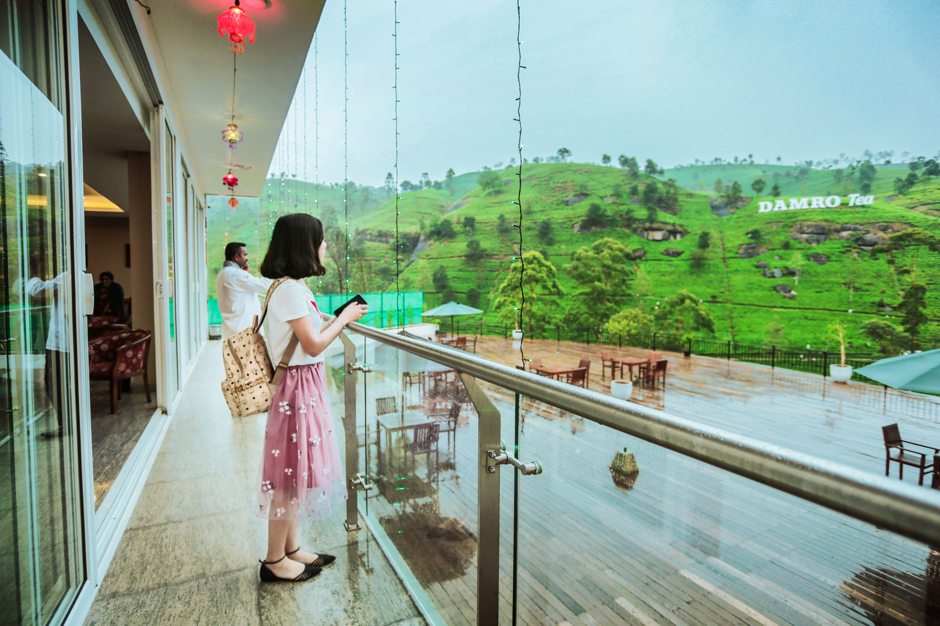 斯里兰卡中国游客,斯里兰卡参观茶厂